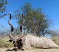 Kudu Hunt