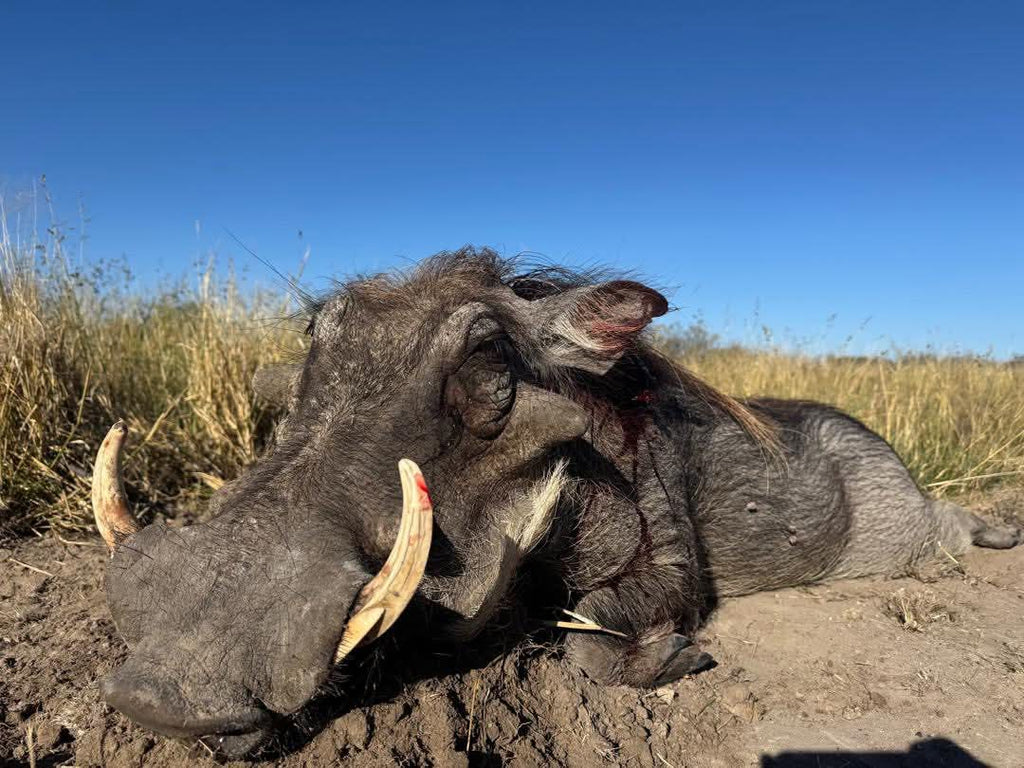 Warthog Hunt